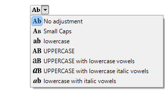 Text Case Styles